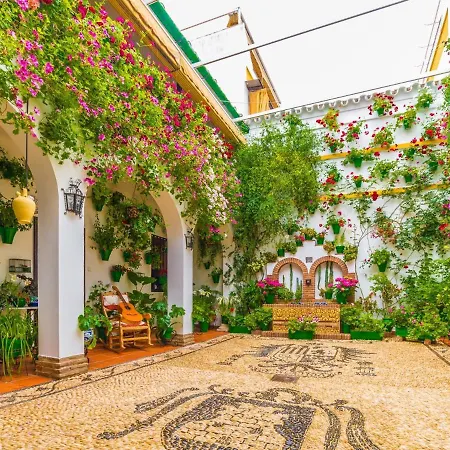 Mi Esperanza * قرطبة